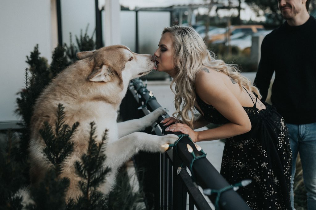 Kissing puppy